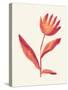 Linocut Flower / Viva Magenta-Alisa Galitsyna-Stretched Canvas