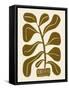 Linocut Houseplant #2-Alisa Galitsyna-Framed Stretched Canvas