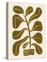 Linocut Houseplant #2-Alisa Galitsyna-Stretched Canvas