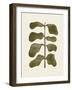 Linocut Plant-Alisa Galitsyna-Framed Giclee Print