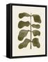 Linocut Plant-Alisa Galitsyna-Framed Stretched Canvas
