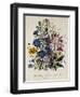 Linum Usitatissimum Botanical Illustration-null-Framed Giclee Print