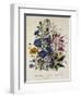 Linum Usitatissimum Botanical Illustration-null-Framed Giclee Print