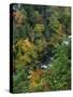 Linville Gorge and Autumnal Forest Canopy, Blue Ridge Parkway, North Carolina, USA-James Green-Stretched Canvas