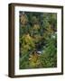 Linville Gorge and Autumnal Forest Canopy, Blue Ridge Parkway, North Carolina, USA-James Green-Framed Photographic Print