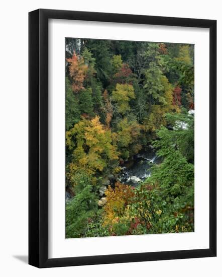 Linville Gorge and Autumnal Forest Canopy, Blue Ridge Parkway, North Carolina, USA-James Green-Framed Photographic Print