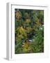 Linville Gorge and Autumnal Forest Canopy, Blue Ridge Parkway, North Carolina, USA-James Green-Framed Photographic Print