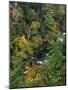 Linville Gorge and Autumnal Forest Canopy, Blue Ridge Parkway, North Carolina, USA-James Green-Mounted Photographic Print