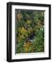 Linville Gorge and Autumnal Forest Canopy, Blue Ridge Parkway, North Carolina, USA-James Green-Framed Photographic Print