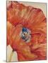 Wood Mount