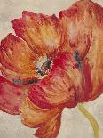 Tangerine Bloom 2-Linza Bouchet-Art Print