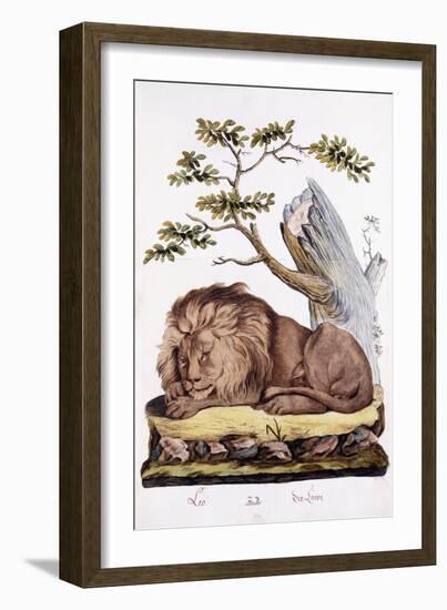 Lion, 1794-null-Framed Giclee Print