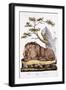 Lion, 1794-null-Framed Giclee Print