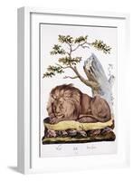 Lion, 1794-null-Framed Giclee Print