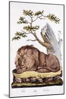 Lion, 1794-null-Mounted Giclee Print