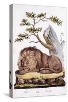 Lion, 1794-null-Stretched Canvas