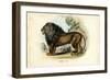 Lion, 1863-79-Raimundo Petraroja-Framed Giclee Print