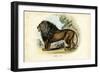 Lion, 1863-79-Raimundo Petraroja-Framed Giclee Print