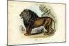 Lion, 1863-79-Raimundo Petraroja-Mounted Giclee Print