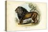Lion, 1863-79-Raimundo Petraroja-Stretched Canvas