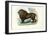 Lion, 1863-79-Raimundo Petraroja-Framed Giclee Print