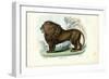 Lion, 1863-79-Raimundo Petraroja-Framed Giclee Print