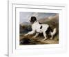 Lion - A Newfoundland Dog-Edwin Landseer-Framed Premium Giclee Print
