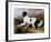 Lion - A Newfoundland Dog-Edwin Landseer-Framed Premium Giclee Print
