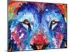 Lion Abstract-Sarah Stribbling-Mounted Art Print