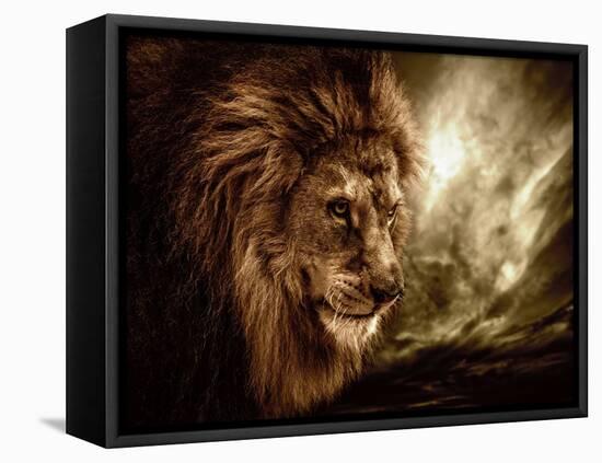 Lion Against Stormy Sky-NejroN Photo-Framed Stretched Canvas