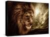 Lion Against Stormy Sky-NejroN Photo-Stretched Canvas