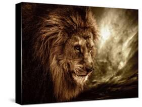 Lion Against Stormy Sky-NejroN Photo-Stretched Canvas