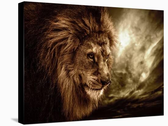 Lion Against Stormy Sky-NejroN Photo-Stretched Canvas