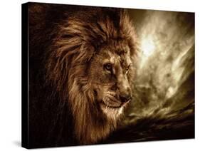 Lion Against Stormy Sky-NejroN Photo-Stretched Canvas