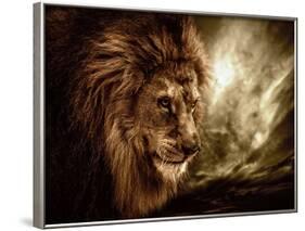 Lion Against Stormy Sky-NejroN Photo-Framed Photographic Print