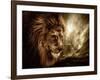 Lion Against Stormy Sky-NejroN Photo-Framed Photographic Print