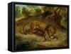 Lion and cayman,  R.F. 1395.-Eugene Delacroix-Framed Stretched Canvas