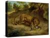 Lion and cayman,  R.F. 1395.-Eugene Delacroix-Stretched Canvas