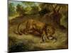 Lion and cayman,  R.F. 1395.-Eugene Delacroix-Mounted Giclee Print