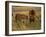 Lion and Lioness Growling at Each Other, Masai Mara National Reserve, Rift Valley, Kenya-Mitch Reardon-Framed Photographic Print