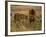 Lion and Lioness Growling at Each Other, Masai Mara National Reserve, Rift Valley, Kenya-Mitch Reardon-Framed Photographic Print