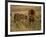 Lion and Lioness Growling at Each Other, Masai Mara National Reserve, Rift Valley, Kenya-Mitch Reardon-Framed Photographic Print