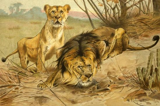 Premium Giclee Print, , large