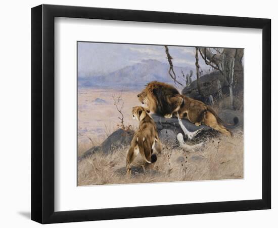 Lion and Lioness; Lowe Und Lowin-Wilhelm Kuhnert-Framed Giclee Print