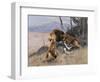 Lion and Lioness; Lowe Und Lowin-Wilhelm Kuhnert-Framed Giclee Print