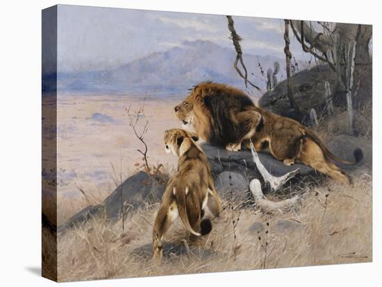 Lion and Lioness; Lowe Und Lowin-Wilhelm Kuhnert-Stretched Canvas