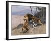 Lion and Lioness; Lowe Und Lowin-Wilhelm Kuhnert-Framed Giclee Print