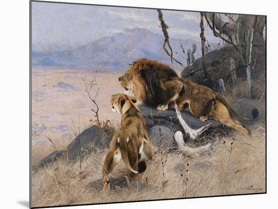 Lion and Lioness; Lowe Und Lowin-Wilhelm Kuhnert-Mounted Giclee Print