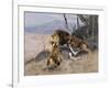 Lion and Lioness; Lowe Und Lowin-Wilhelm Kuhnert-Framed Giclee Print