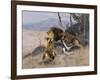 Lion and Lioness; Lowe Und Lowin-Wilhelm Kuhnert-Framed Giclee Print